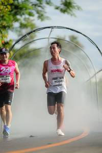 BIB: 
                            <button type="button" onclick="openModal(26556816)" class="btn btn-primary btn-sm float-right btn-popup" data-toggle="modal" data-target=".modal-high-quality">
                        <i class="fas fa-shopping-cart"></i> Add to Cart
                    </button>
                                            <button type="button" onclick="isThisMe(26556816, true)" class="btn btn-success btn-sm float-right btn-popup btn-isme hidden" data-toggle="tooltip" data-placement="bottom" title="นี่คือรูปของคุณใช่ไหม คลิกที่นี่เพื่อเอาเข้าอัลบั้ม">
                        <i class="fas fa-plus"></i> Add to album
                    </button>
                    <button type="button" onclick="isThisMe(26556816, false)" class="btn btn-warning btn-sm float-right btn-popup btn-isnotme hidden">
                        <i class="fas fa-ban"></i> Remove from album
                    </button>